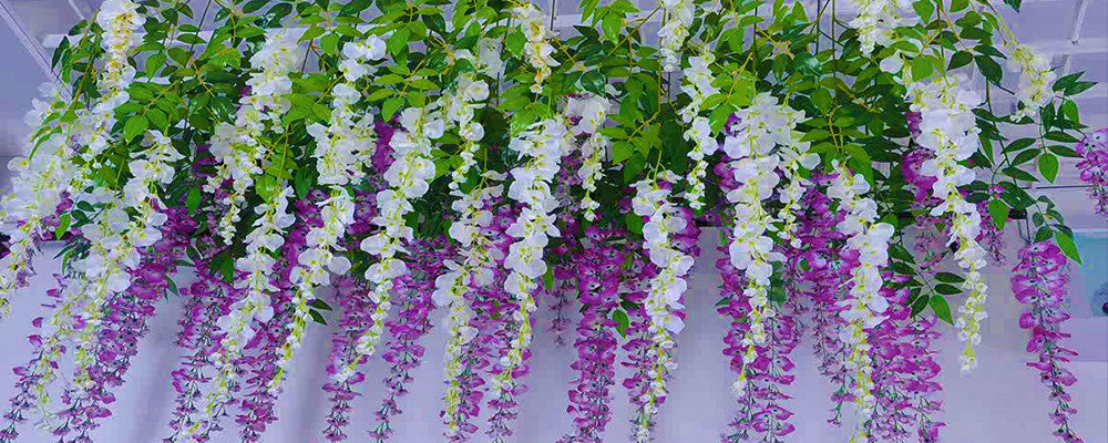 Vines