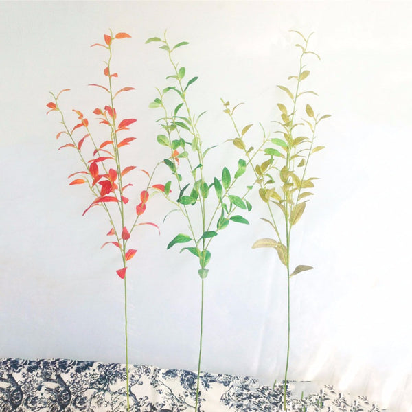 Olive Branch  and Leaves