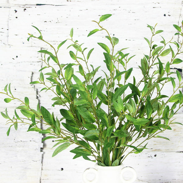 Olive Branch  and Leaves