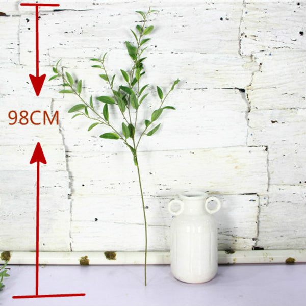 Olive Branch  and Leaves