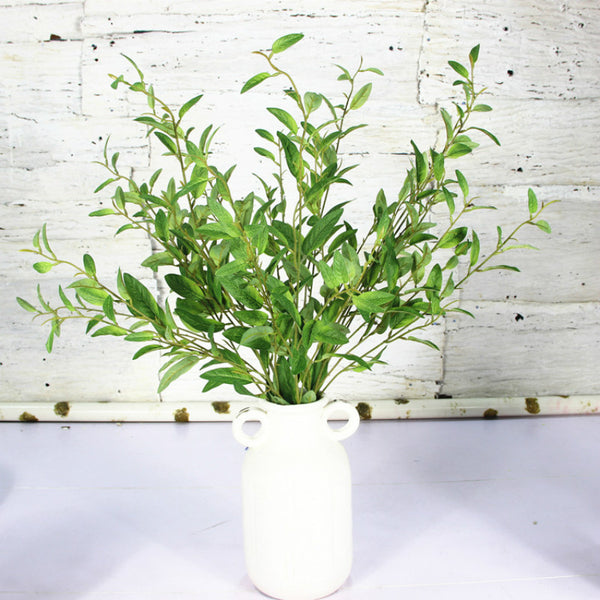 Olive Branch  and Leaves