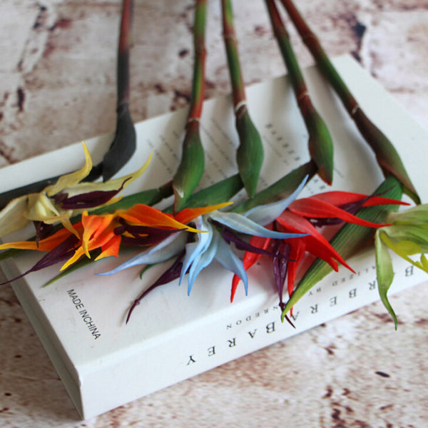 Latex Bird Of Paradise Orchids