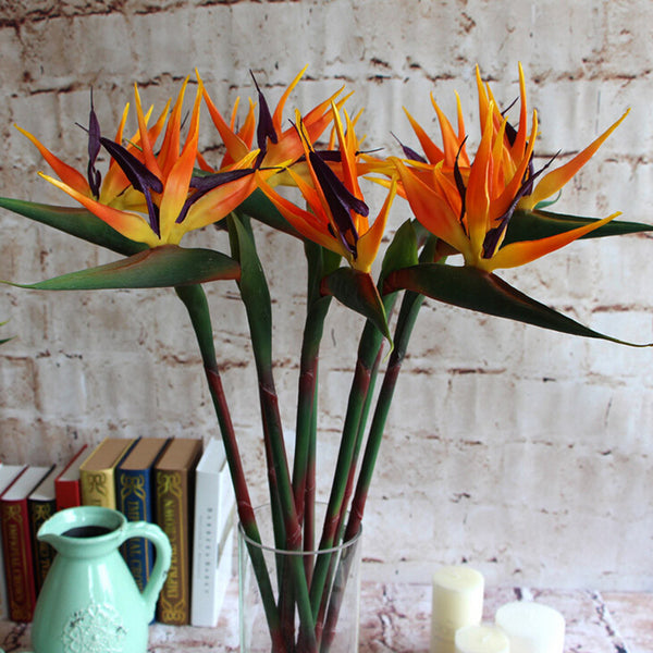 Latex Bird Of Paradise Orchids