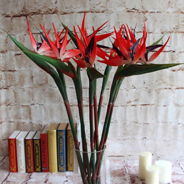 Latex Bird Of Paradise Orchids