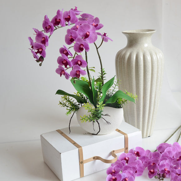 Silk Phalaenopsis Orchid