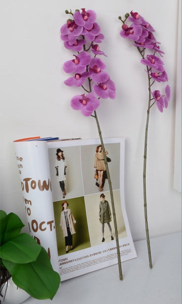 Silk Phalaenopsis Orchid