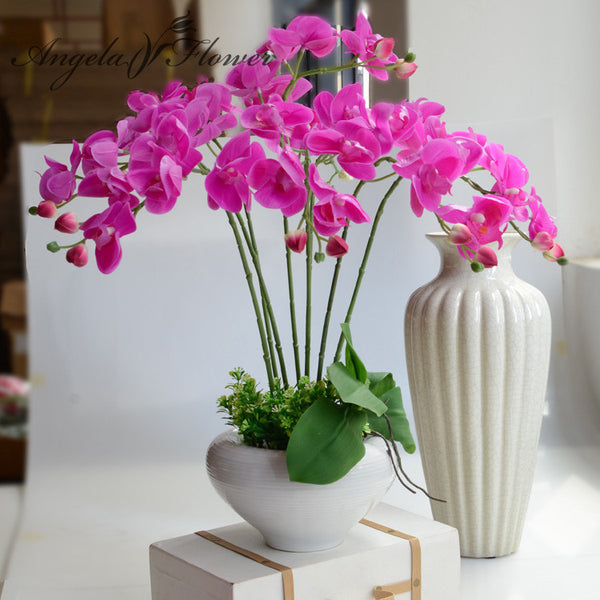 Silk Phalaenopsis Orchid