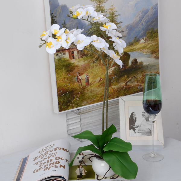 Silk Phalaenopsis Orchid