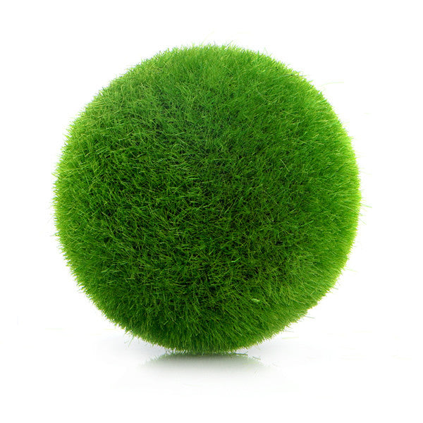 Fresh Moss Balls