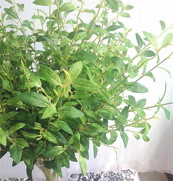 Olive Branch  and Leaves