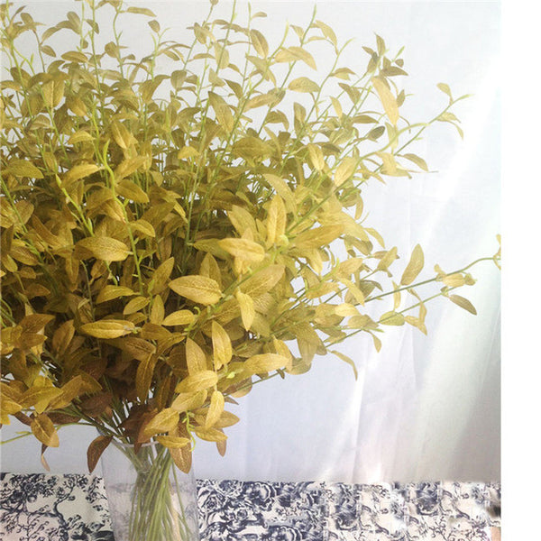 Olive Branch  and Leaves